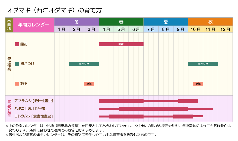 栽培管理 オダマキ 西洋オダマキ の育て方 住友化学園芸