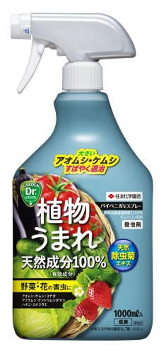 有効な薬剤 公式 ハダニの被害にもう悩まないで 防除方法と有効薬剤について