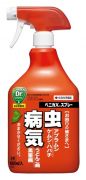 害虫 病気対策 ポトスの育て方 住友化学園芸