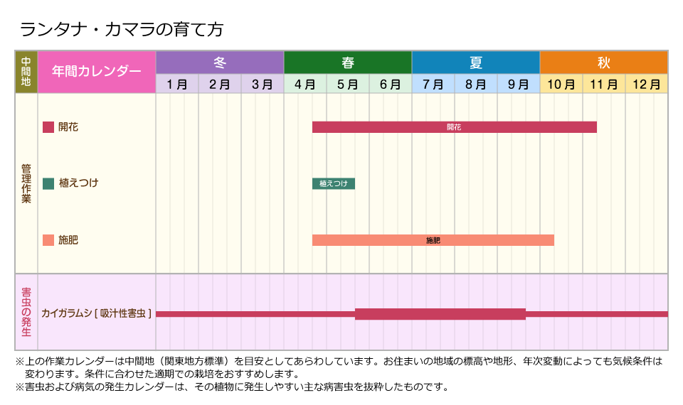 栽培管理 ランタナ カマラの育て方 住友化学園芸