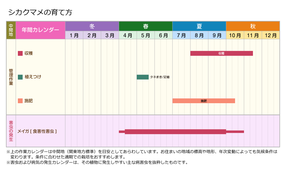 栽培管理 シカクマメの育て方 住友化学園芸