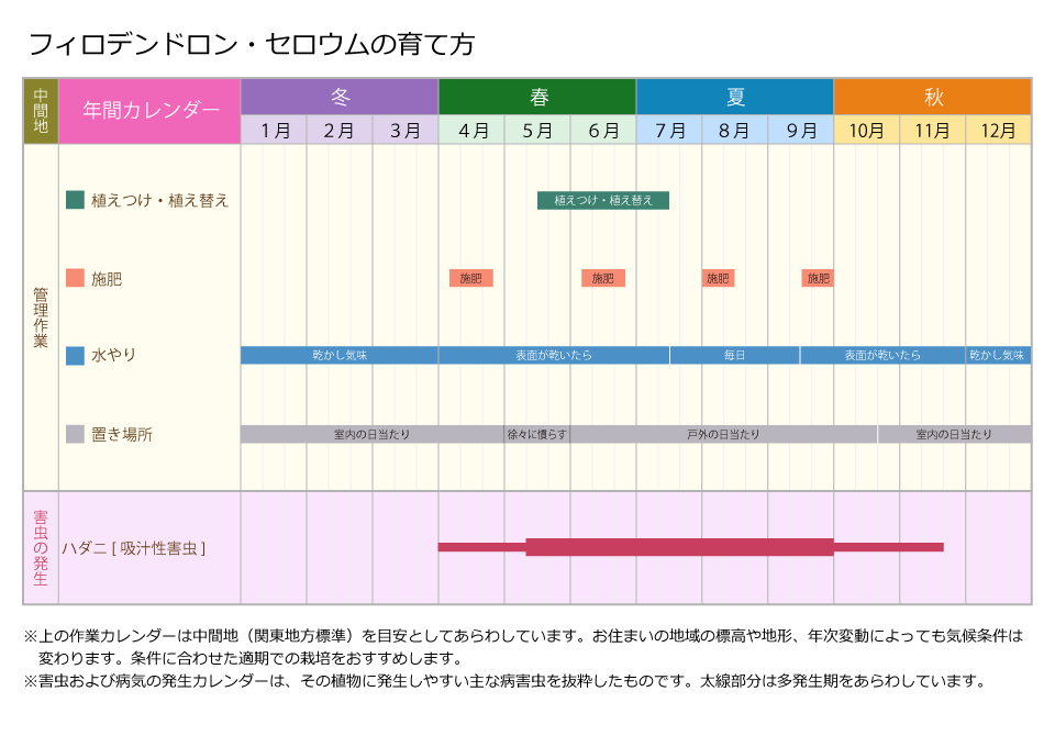 栽培管理 失敗しないフィロデンドロンセロウム生育のコツ 住友化学園芸