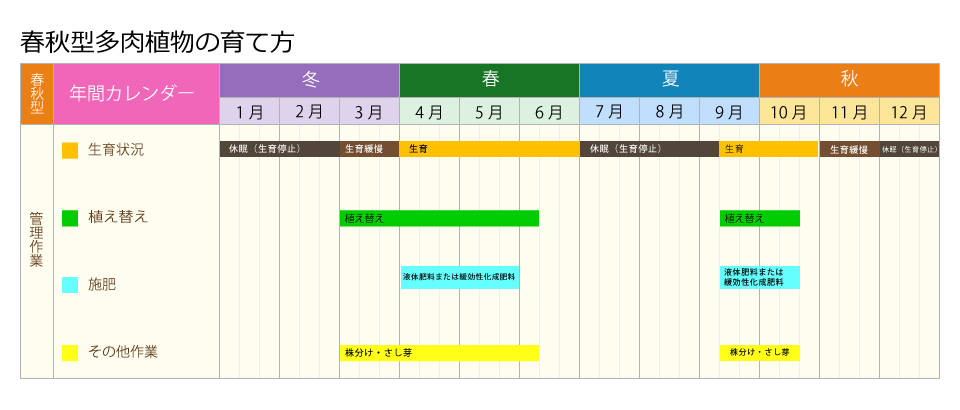 栽培管理 グラプトペタラム 朧月の育て方 住友化学園芸